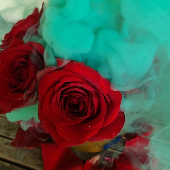 Meet your Posher, Rae - Picture 1 of 1